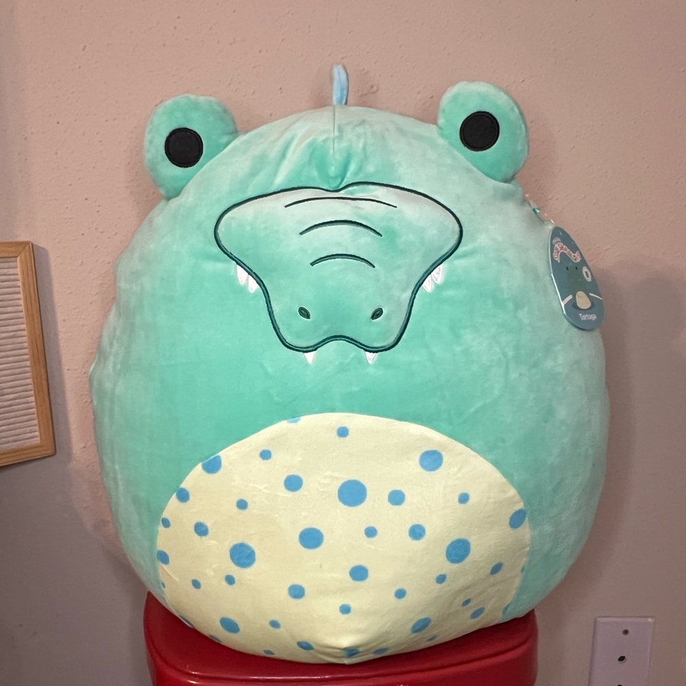 NWT FTM 16”‎ Tortuga
